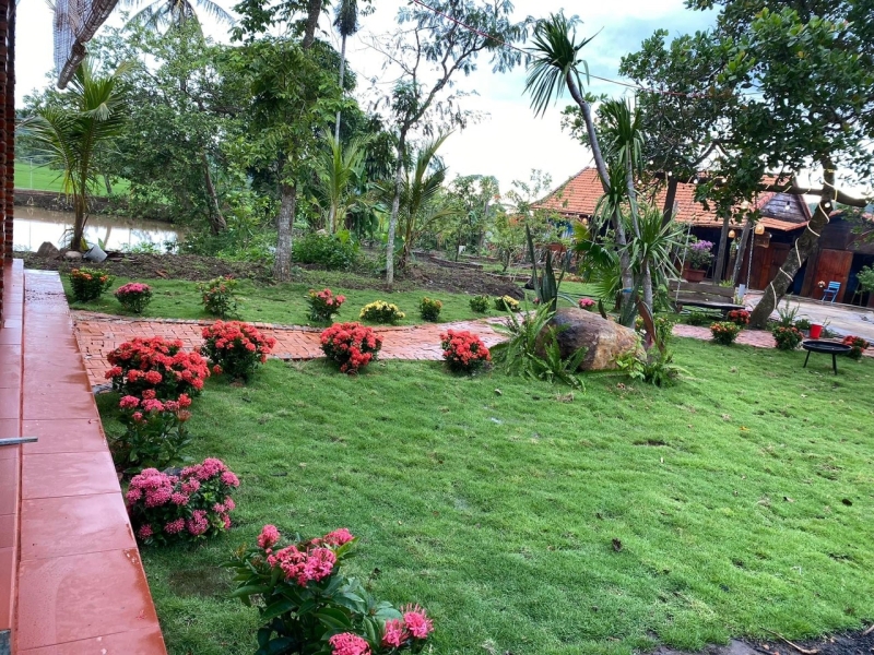 Nhà vườn 3,6 sào,XÃ DRAYSAP,KRÔNG ANA,View cánh đồng lúa